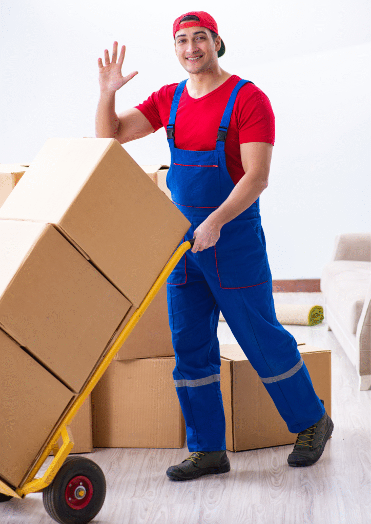 Packers and Movers in India